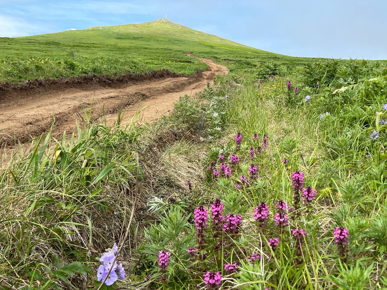 Гора Северная и поле боя