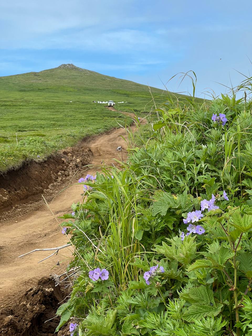 Гора Северная и поле боя