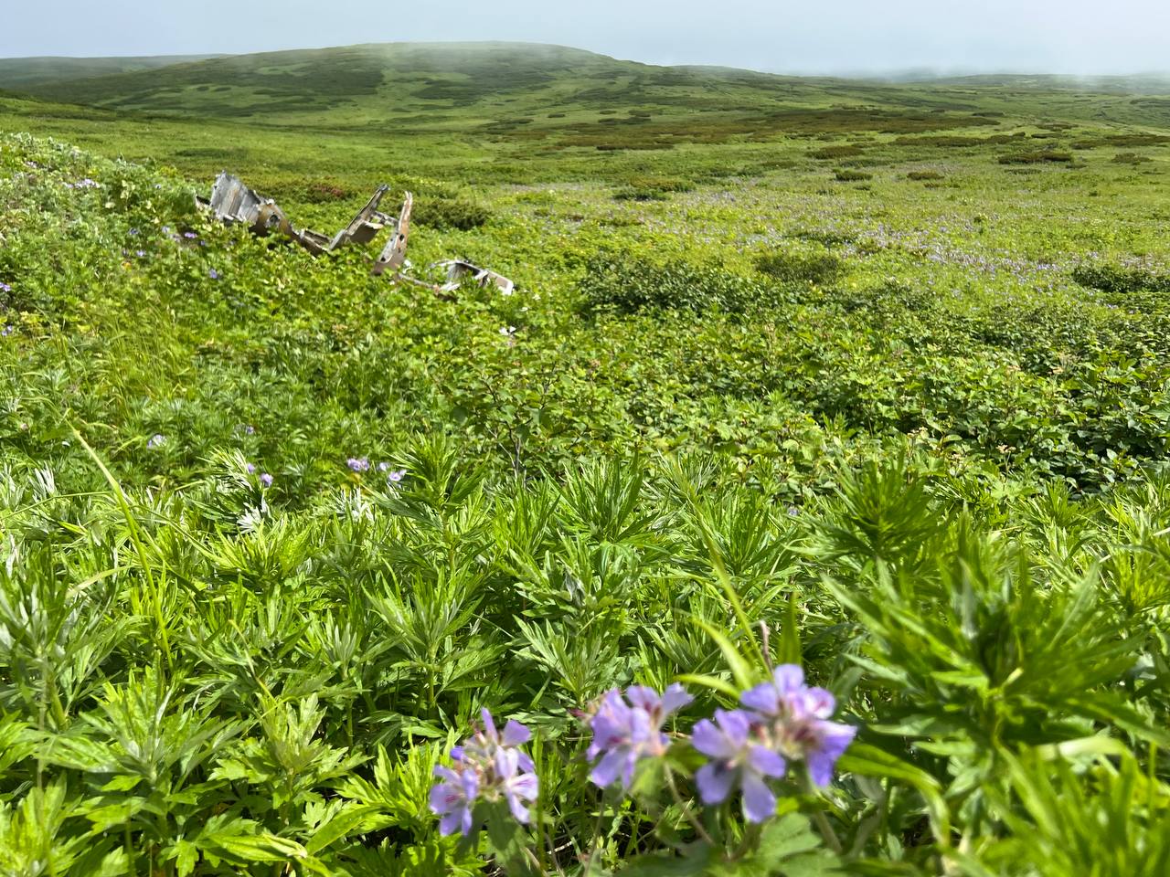 Гора Северная и поле боя