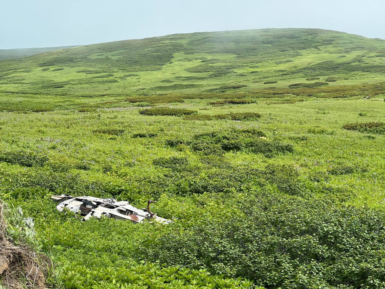 Гора Северная и поле боя