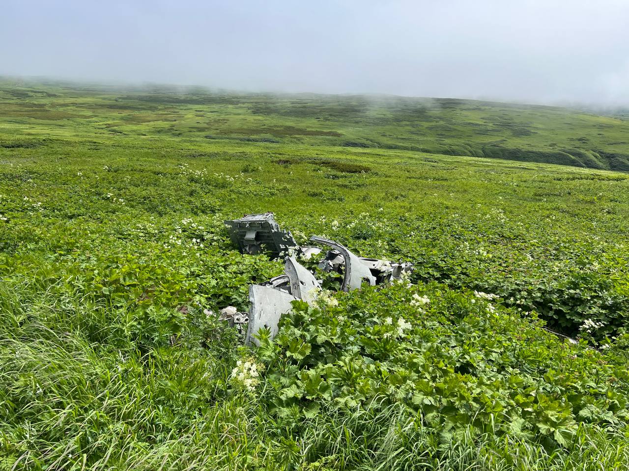 Гора Северная и поле боя