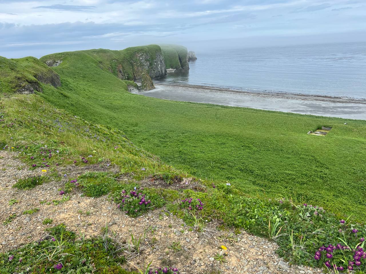 Мыс Почтарева