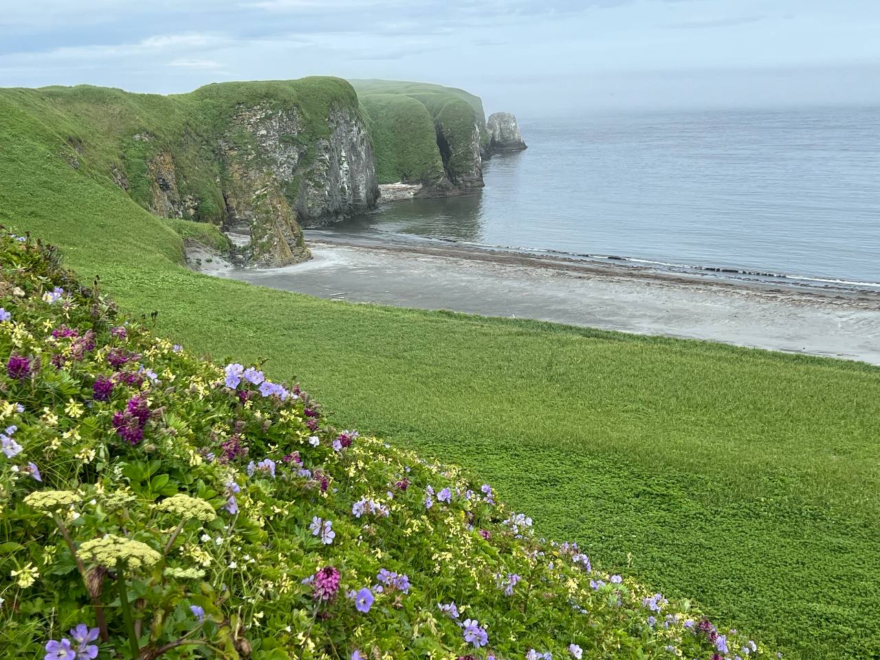 Мыс Почтарева