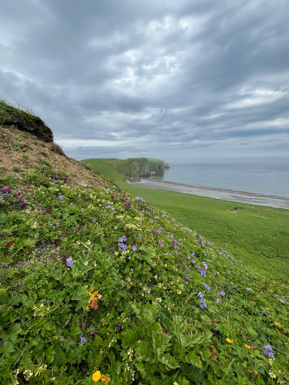 Мыс Почтарева