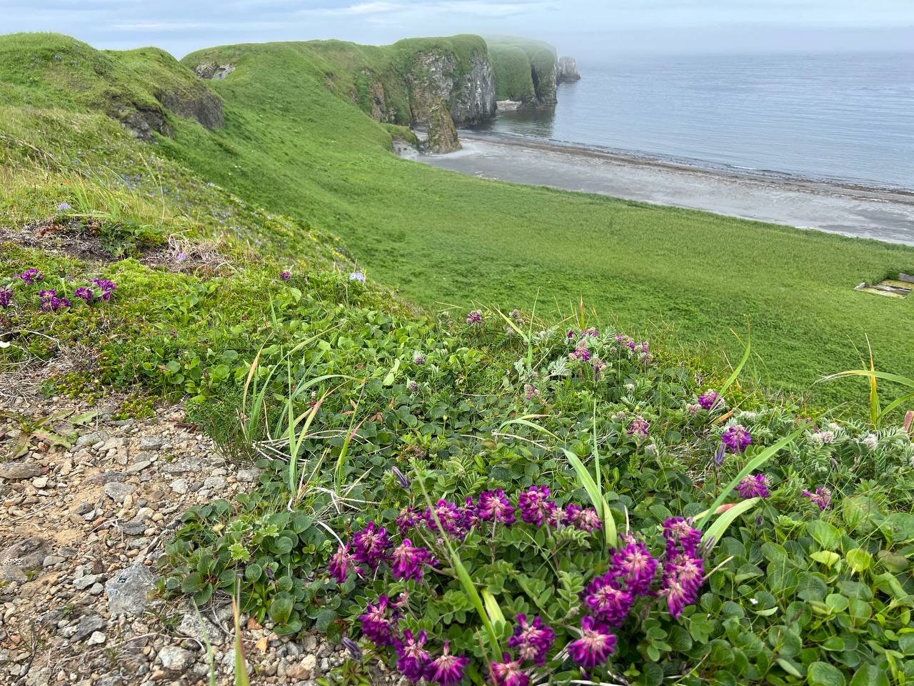 Мыс Почтарева