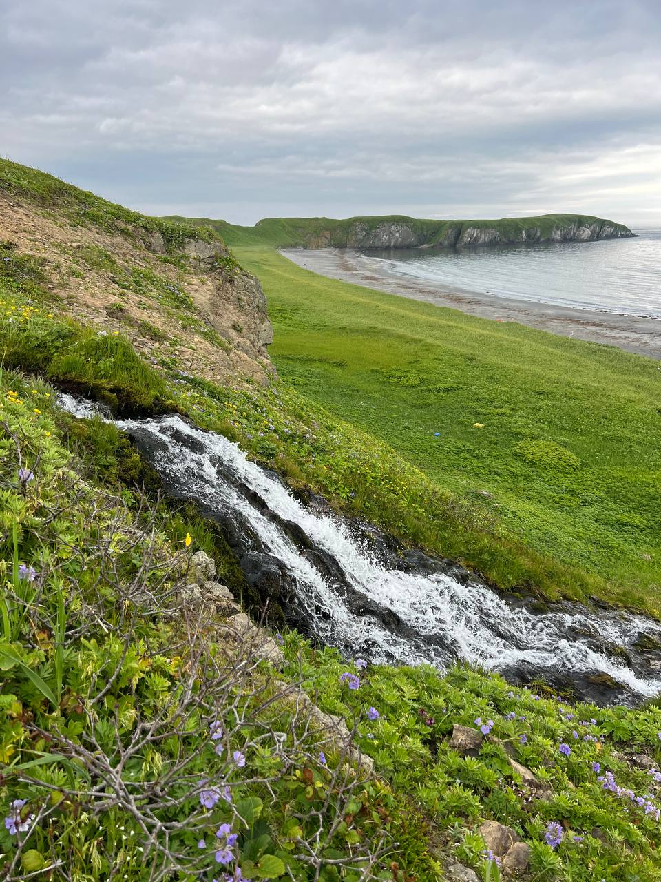 Мыс Почтарева